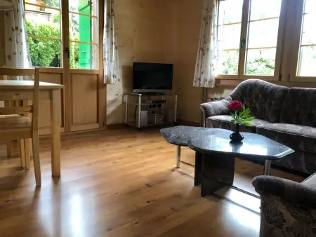 Träumli, Appartement 2 personnes à Lenk - Photo 10