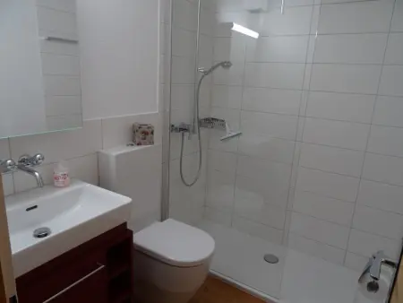 Elena # 1, Appartement 4 personnes à Lenk - Photo 9