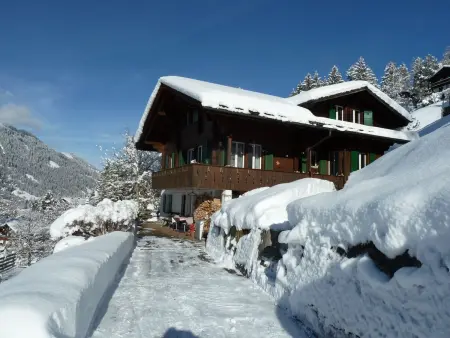 Bach, Appartement 2 personnes à Lenk - Photo 1