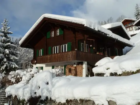 Bach, Appartement 2 personnes à Lenk - Photo 2