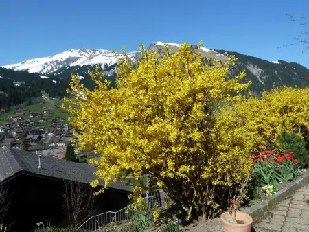 Bach, Appartement 2 personnes à Lenk - Photo 4
