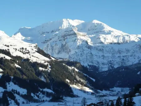 Bach, Appartement 2 personnes à Lenk - Photo 5