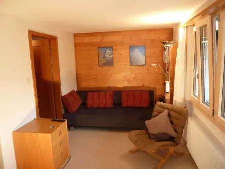 Bach, Appartement 2 personnes à Lenk - Photo 15