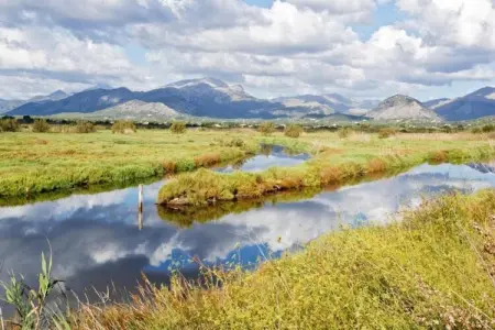 VILLA MEDITERRANEAN, Villa 6 personnes à Platja de Muro - Photo 29