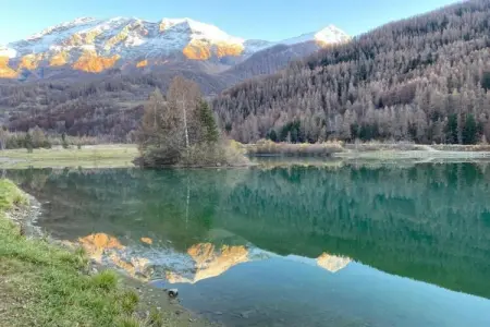 T. Bergerie A N°203 - 2P6C, Appartement 6 personnes à Orcières - Photo 13