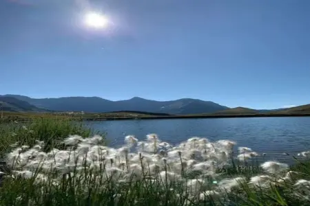 T. Bergerie A N°06 - 2P4, Appartement 4 personnes à Orcières - Photo 35