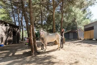 Appartement à MALLEMORT, Les Maisons de Pont Royal en Provence - maeva Home - N°1054174