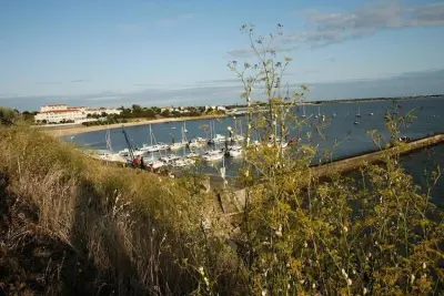 Appartamento a Fouras, Résidence Odalys Les Terrasses de Fort Boyard - L1054408