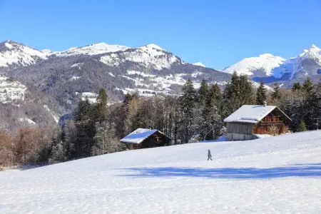 Grand Morillon N°309 - 2P5, Appartement 5 personnes à Morillon - Photo 5