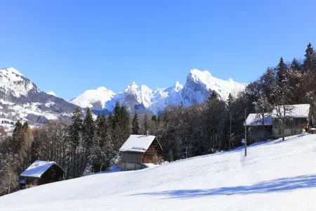 Les Eterlous N°28 - 2P4, Appartement 4 personnes à Morillon - Photo 23