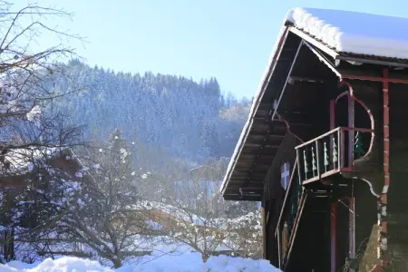 Les Eterlous N°28 - 2P4, Appartement 4 personnes à Morillon - Photo 28