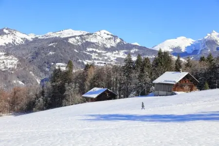 Les Eterlous N°28 - 2P4, Appartement 4 personnes à Morillon - Photo 31