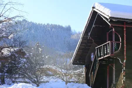 Les Eterlous N°25 - 2P4, Appartement 4 personnes à Morillon - Photo 29