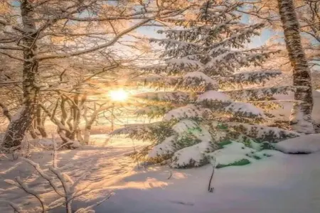 Les Narcisses N°102 - ST4, Appartement 4 personnes à Morillon - Photo 16
