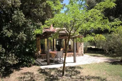 Appartement à Flayosc, Lou Petarel, Mas Provençal Typique Avec Piscine Partagée, Calme, Nature - N°1057753