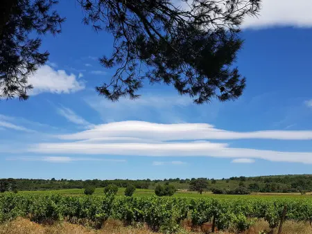 Les Jardins de la Clape, Maison 4 personnes à Narbonne Plage - Photo 19