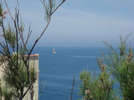 Les Roches Bleues, Appartement 4 personnes à Collioure - Photo 14