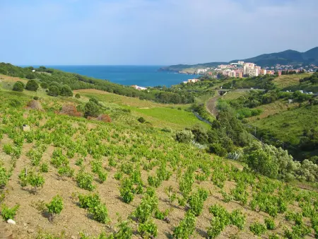 Thalacap, Appartement 4 personnes à Banyuls sur mer - Photo 18