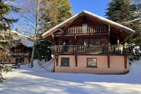 Chalet à La Bresse, LE GRIZZLY Chalet en bois au calme - L1058255