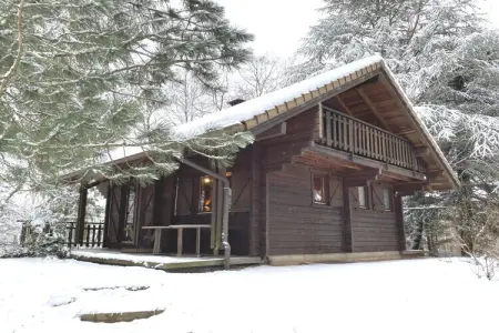 Chalet à La Bresse, LE MONTAGNARD Chalet en bois - L1058257