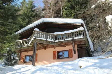 Chalet à La Bresse, LE TRAPPEUR  Chalet en bois vue montagne - L1058260