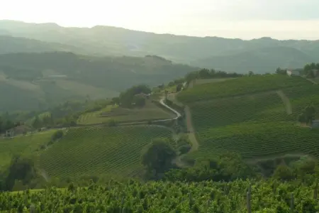 Appartamento Le Colline, Appartement au cœur de l'Émilie-Romagne - Photo 36