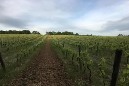 Maison Le Perrot, Maison près du Château Monbazillac - Photo 32