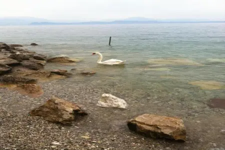 Jolly Trilo Inferiore, Séjour au bord du lac à Sirmione - Photo 31