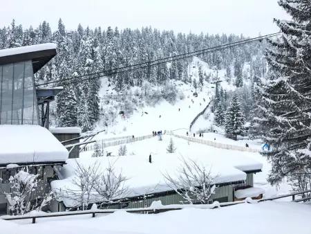 Val Signina, Appartement 5 personnes à Laax - Photo 12