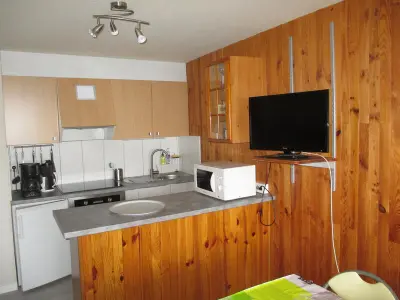 Appartement à Besse et Saint Anastaise Super Besse, Studio cosy au cœur de Super Besse, proche des pistes - L1060154