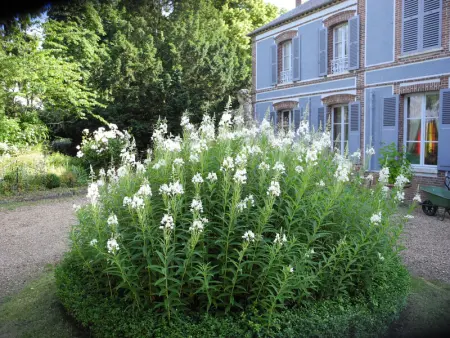 Gîte charmant avec jardin clos et parking à Saint-Sauveur-Marville - Photo 25
