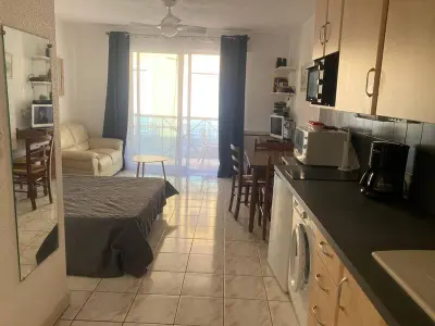 Appartement à Amélie les Bains Palalda, Charmant studio au centre, balcon, animaux admis - L1060366