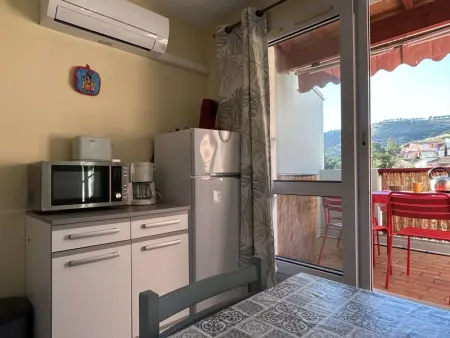 Appartement climatisé 2 pièces, piscine, animaux acceptés, parking, proche mer - Photo 3