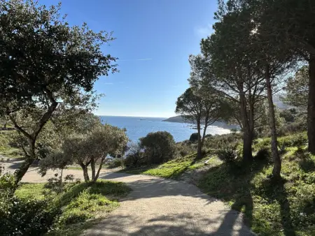 Appartement climatisé 2 pièces, piscine, animaux acceptés, parking, proche mer - Photo 18