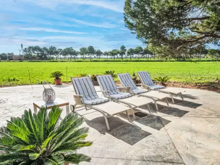 Finca Ca na Brila, Maison 4 personnes à Campos - Photo 16