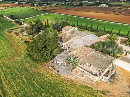 Finca Ca na Brila, Maison 4 personnes à Campos - Photo 18