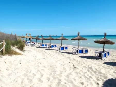 Finca Ca na Brila, Maison 4 personnes à Campos - Photo 20