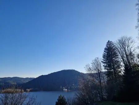 Maison à Gérardmer avec vue sur montagnes, garage et jardin - Photo 15