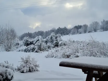 Chalet Nature avec Sauna et WIFI près Gérardmer - Photo 29