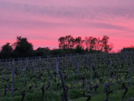 Maison de charme à Julienne + grand jardin, Maison 7 personnes à Julienne - Photo 32