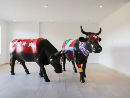 Domaine des Reines B3, Appartement 4 personnes à Nendaz - Photo 10