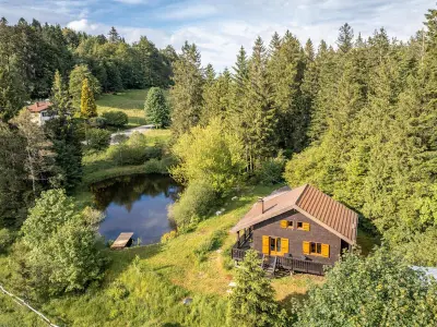 Gite à Sapois, Chalet moderne avec cheminée et animaux bienvenus proche de Gérardmer - L1061091