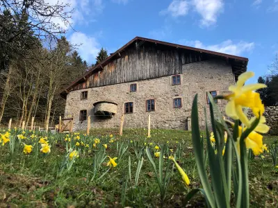 Appartement à Sapois, Gîte Tranquille à la Ferme Vosgienne avec Parking - L1061092