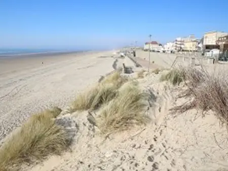 Appartement 3 chambres à Stella-plage avec parking et animaux admis - Photo 9