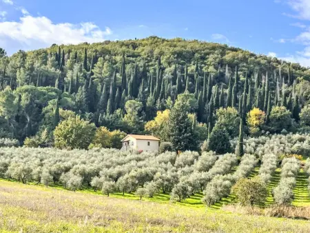 Maison à Montalcino, Il Cipresso - L1061244