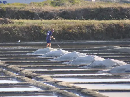 Charmant Studio avec Jardin à Guérande, WiFi inclu - Photo 10