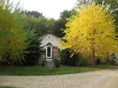 Gîte Familial en Forêt près de Chinon avec Jeux et Terrasse - Photo 12