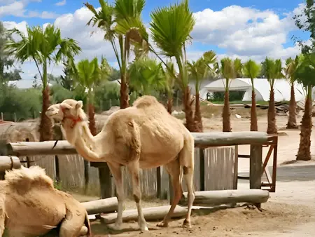 Appartement charmant à Larnaca avec vue sur la mer – 73 m² - Photo 13