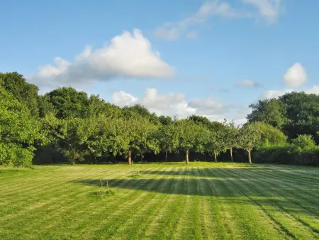 Maison charmante Trédrez-Locquémeau + Vue, Maison 3 personnes à Trédrez Locquémeau - Photo 5