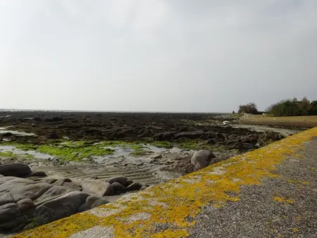Maison charmante avec jardin et barbecue à Penmarch - Photo 23